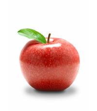 ERP SOFTWARE - FRUITS & VEGETABLES