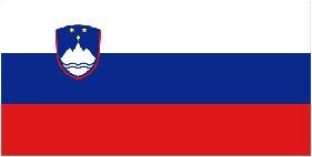 Slovenian Translation Services