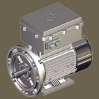 RAEL aluminium Flameproof-Motors