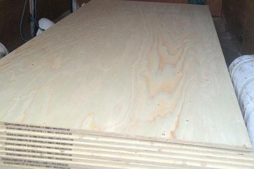 Spruce Plywood