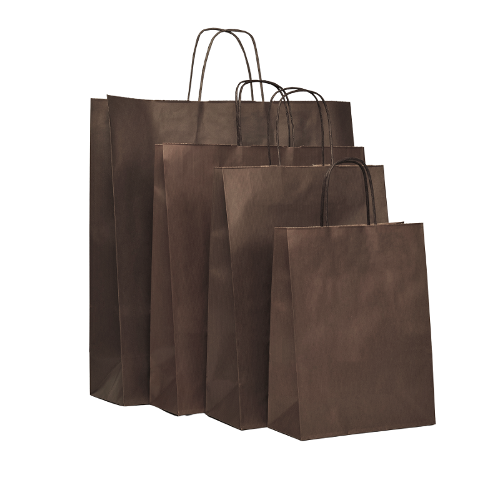 Premium Twisted Brown Paper Bag