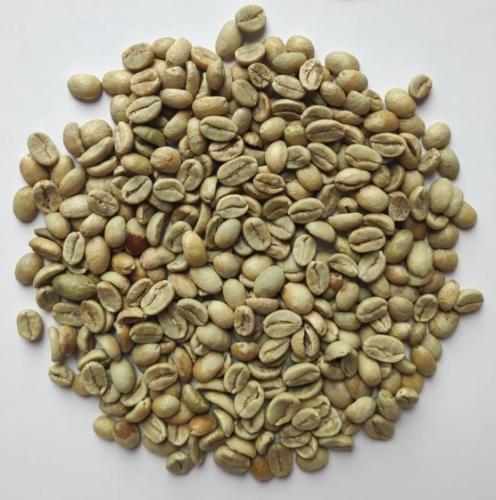 Arabica Coffee