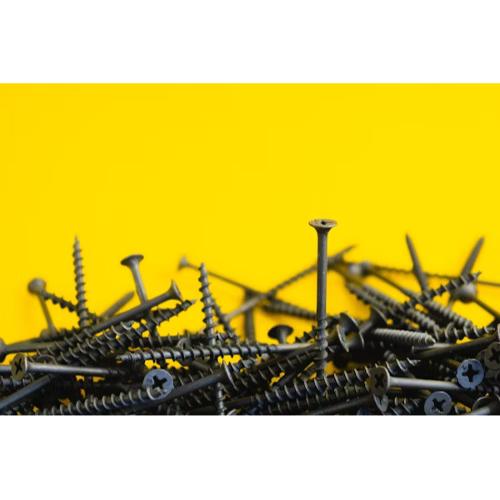Supplier of steel screws