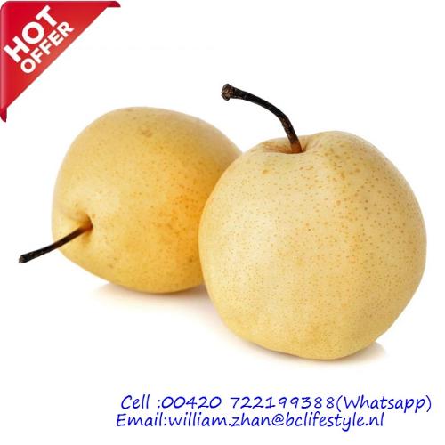 Nashi Pears