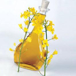 CANOLA OIL