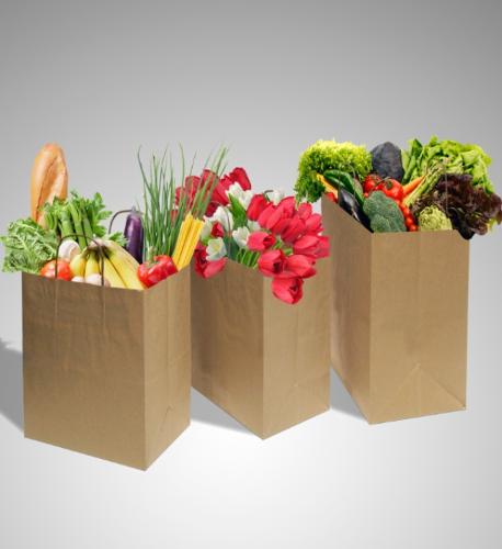 TakeAway / Delivery Bags