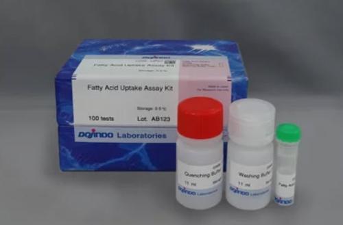 Fatty Acid Uptake Assay Kit