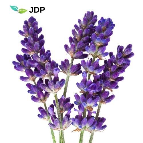 Lavender Hydrolate