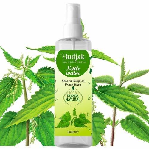 Nettle floral water (Urtica dioica) 200 ml.