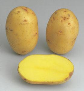 Potatoes - Yellow skin