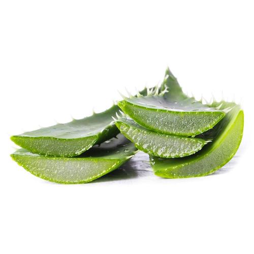 Organic aloe vera pulp