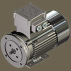 RAEL aluminium Flameproof-Motors