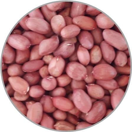 Peanut Kernels