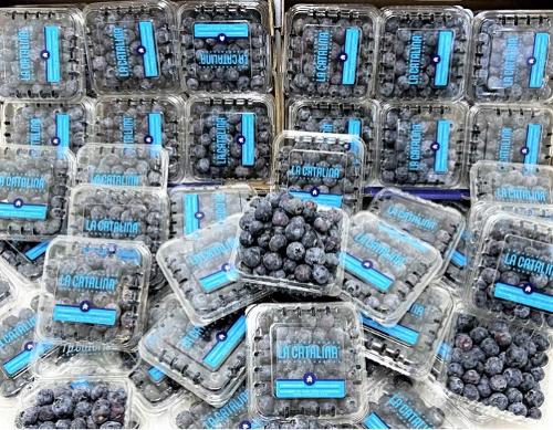 Blueberries