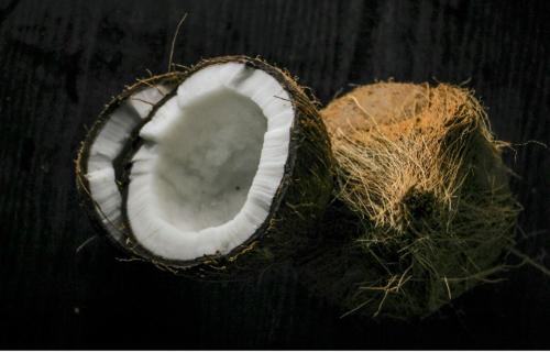 Coconut