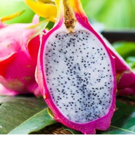 Dragon fruit 