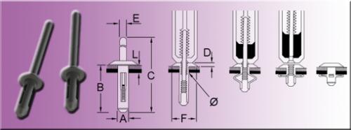 Rivets - R-Lok