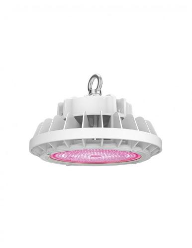 AGRO-C LED High Bay