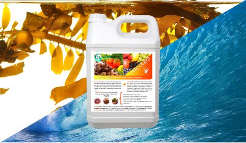 EC fertilizer for fruits and vegetables 