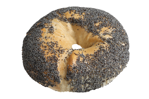 Poppy Seed