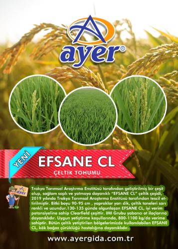 EFSANE CL RİCE SEEDS