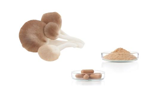 Pleurotus ostreatus extract, powder and capsules