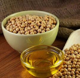 Soybean Oil