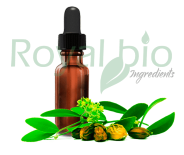 Jojoba Vegetable Oil