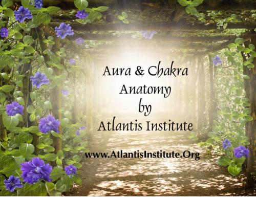 Aura & Chakra Anatomy