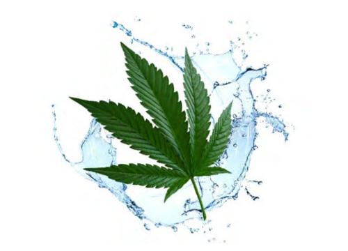 Water Soluble Cbd