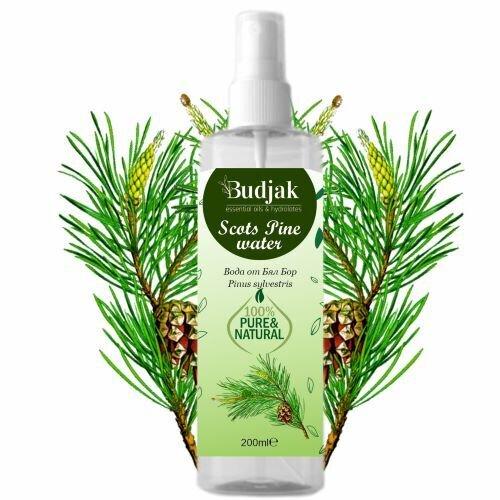 Floral water from White Pine (Pinus sylvestris) 200 ml.