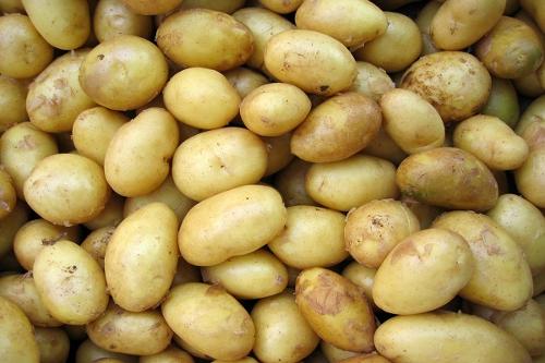 Fresh Potatoes