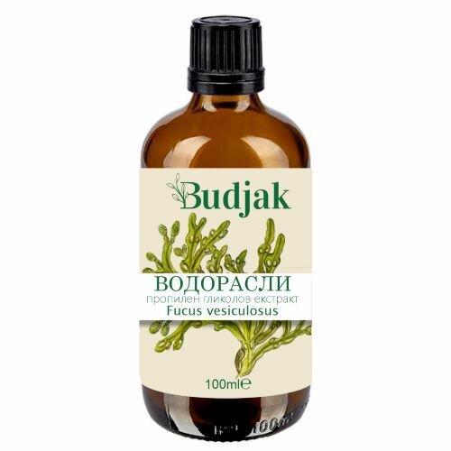 Algae extract (Algae - Fucus vesiculosus) 100 ml.