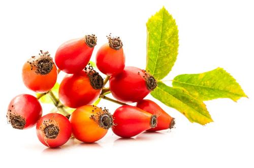 Rose hip seed oil