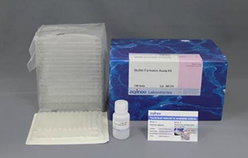 Biofilm Formation Assay Kit