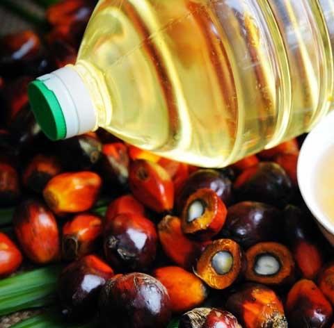 PALM OIL