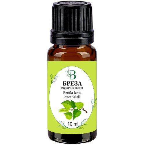 Sweet Birch essential oil (Betula lenta) 10 ml.