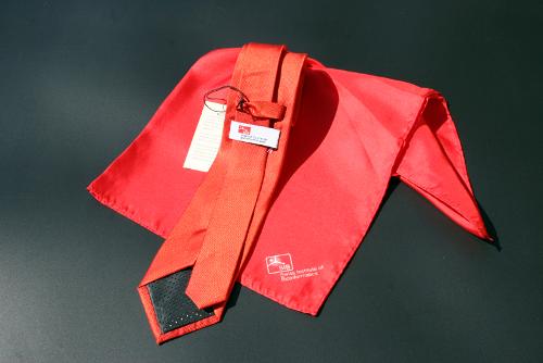 Custom 100% silk tie set and neck scarf