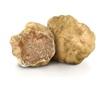 White Truffles