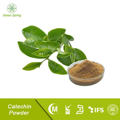 Catechin Extract Powder