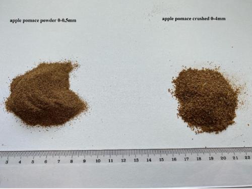 Apple Pomace powder