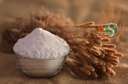 Psyllium Husk Powder