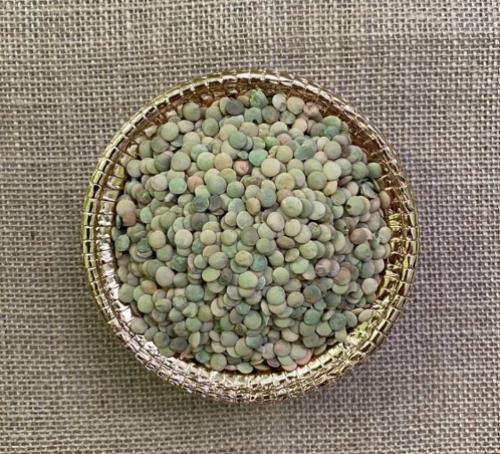 Green Lentils 