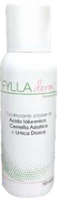 Fylladerm Powder Spray