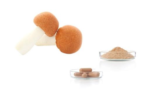 Agaricus subrufescens extract, powder and capsules