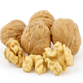 walnuts in shell