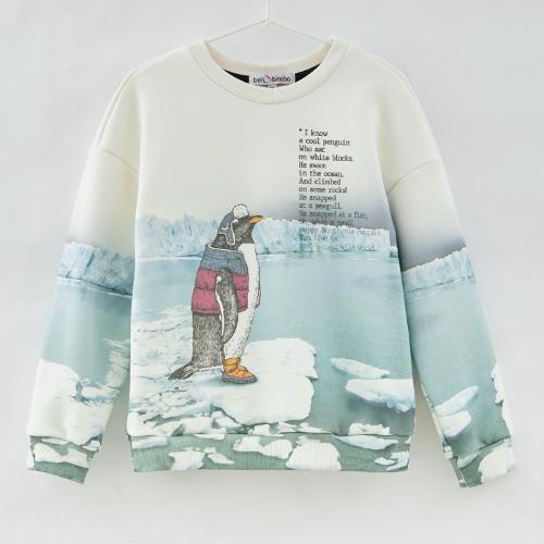 Comfortable sweatshirt for boys