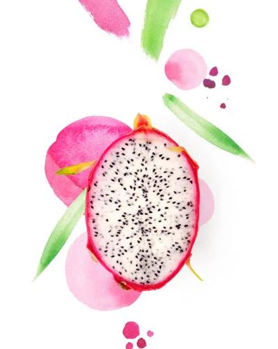 ORGANIC "Pitaya" (dragon fruit) BIO Logo– freeze-dried