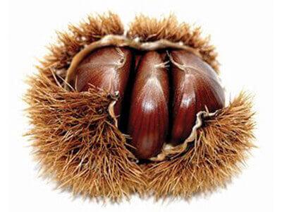 Chestnut