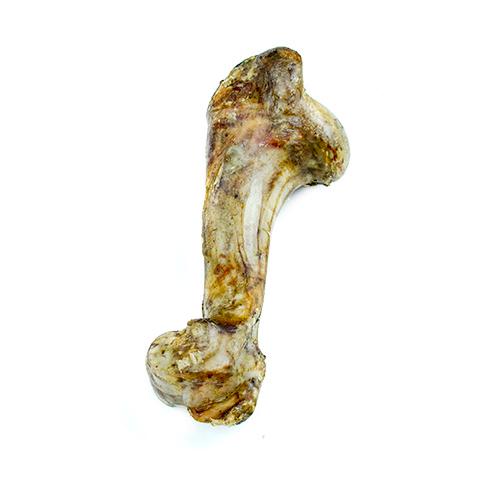 Dried Beef bone natural